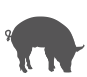 A silhouette of an animal on a green background